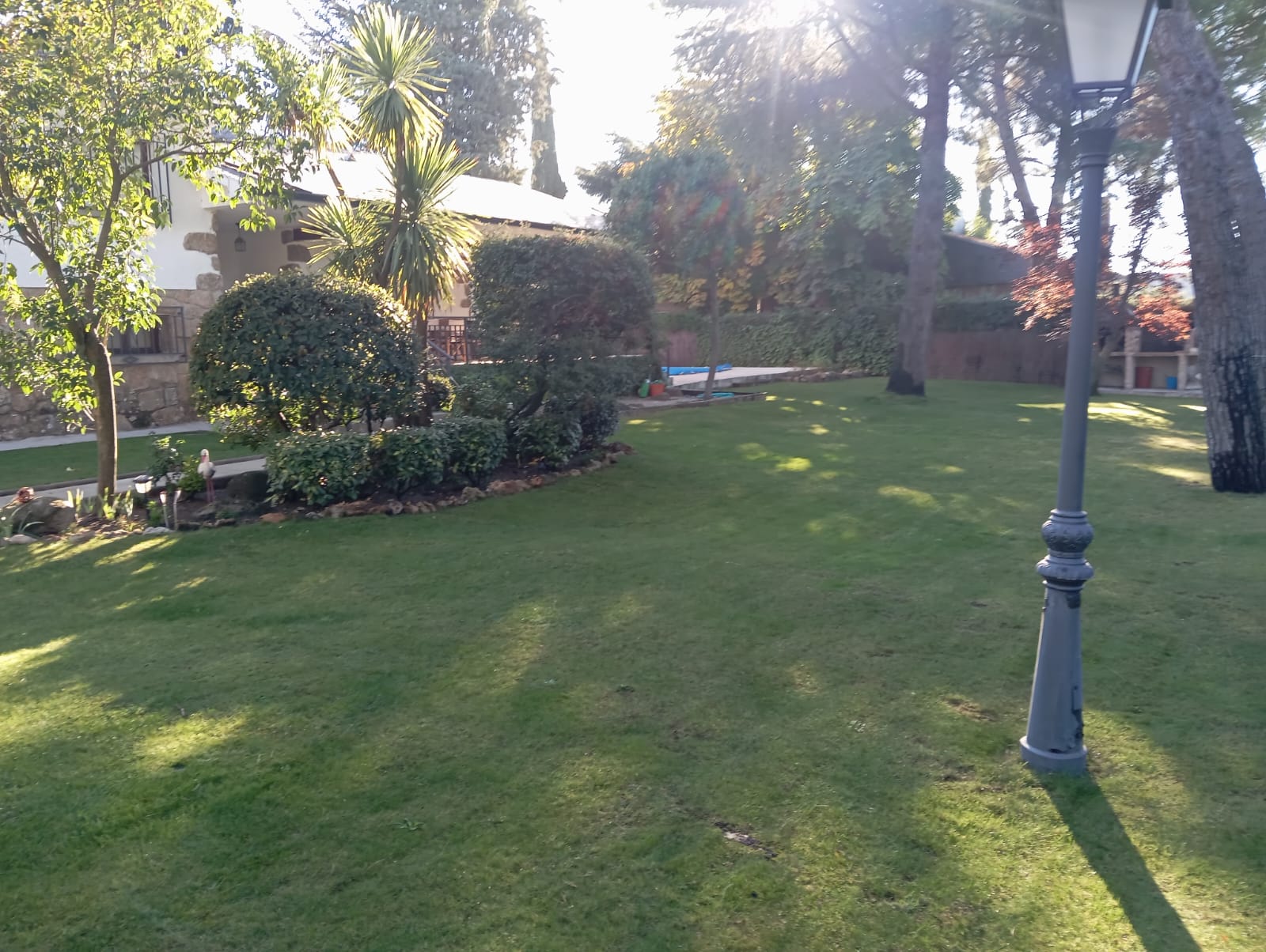 Mantenimiento de jardín con plantación y acabado