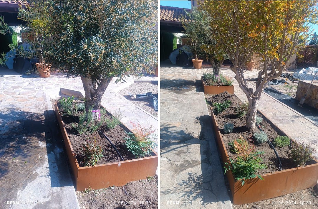 Trabajo de mejora y preparación de jardín