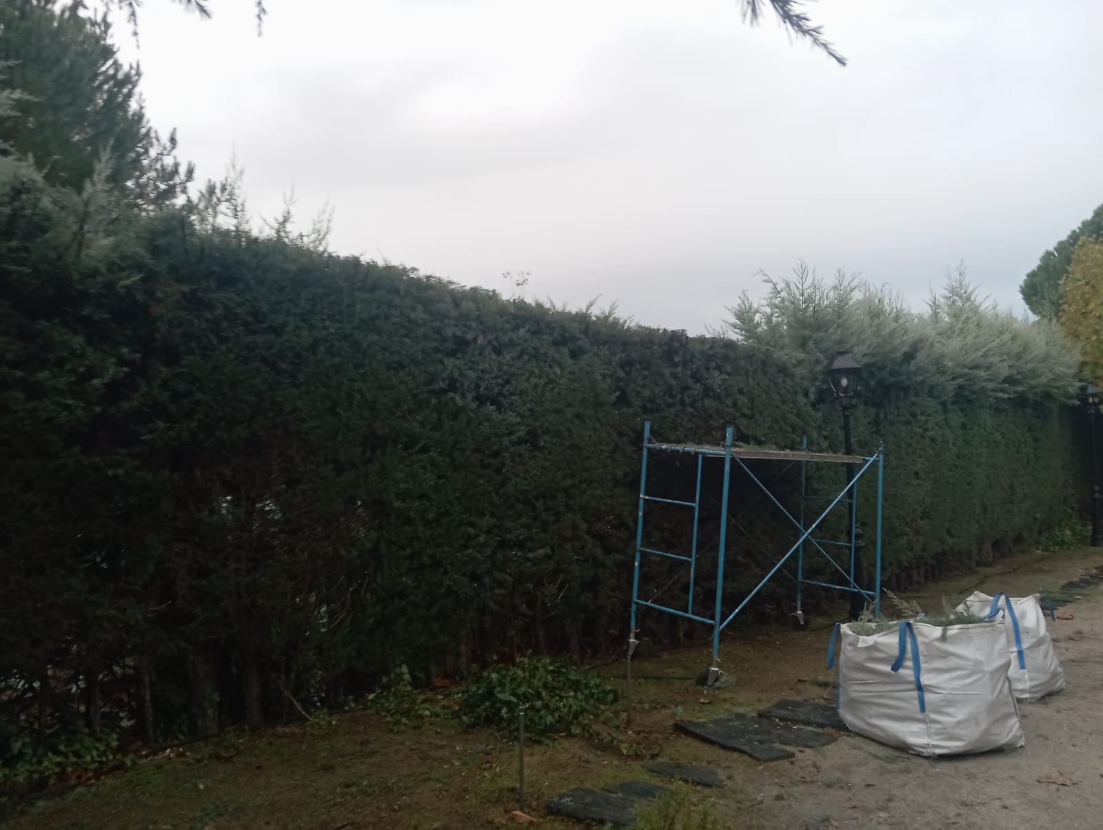 Poda y mantenimiento de zonas verdes